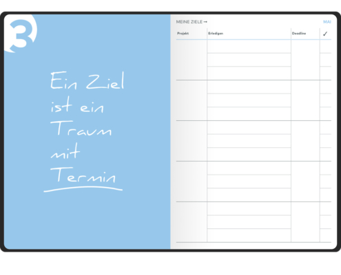 Ziele mit der Bullet Journal Methode & Ingriet
